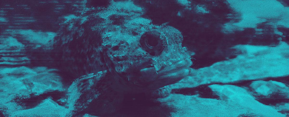 Don’t be a Bottom Feeder