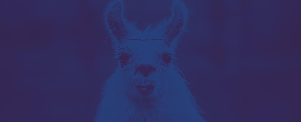 Llamas and Post Malone
