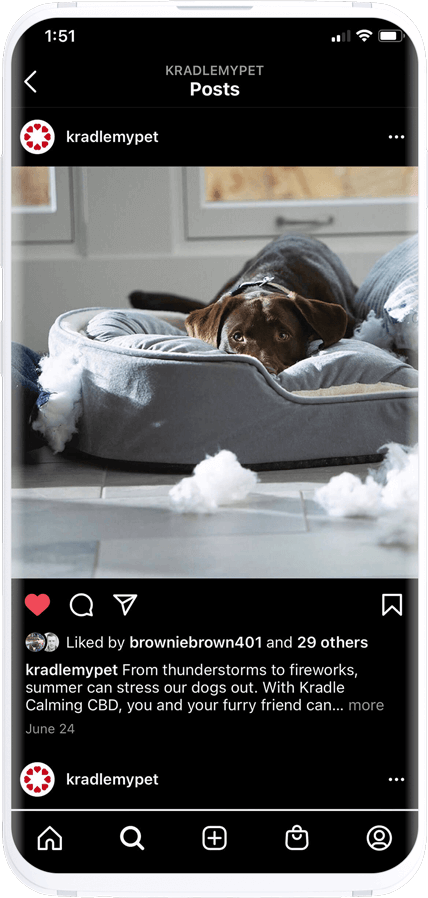 Kradle instagram post mockup with chocolate lab