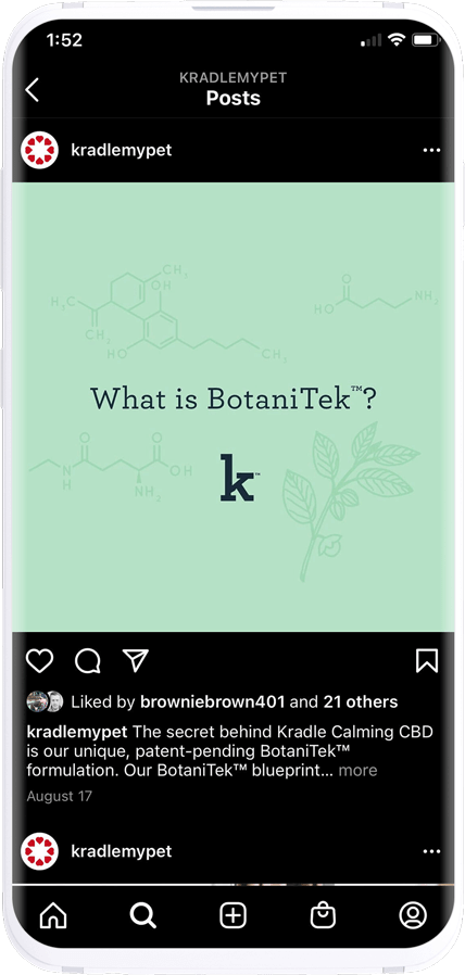 Kradle instagram post mockup with green graphic