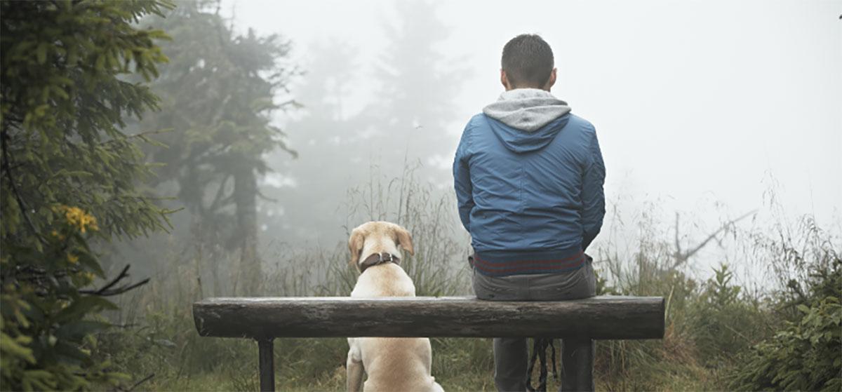 Man sitting on bench in woods with dog
