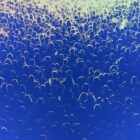 Colorized image of mass of people
